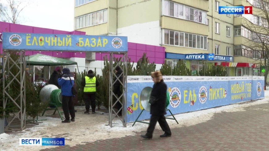 24 новогодних островка: в Тамбове открылись ёлочные базары