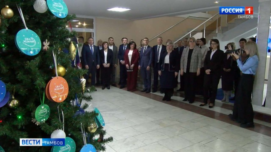 В правительстве области дали старт всероссийской «Елке желаний»