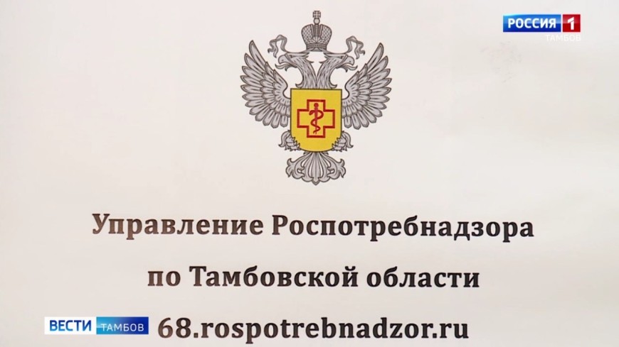 Галина Толстова — о заболеваемости гриппом и ОРВИ в регионе