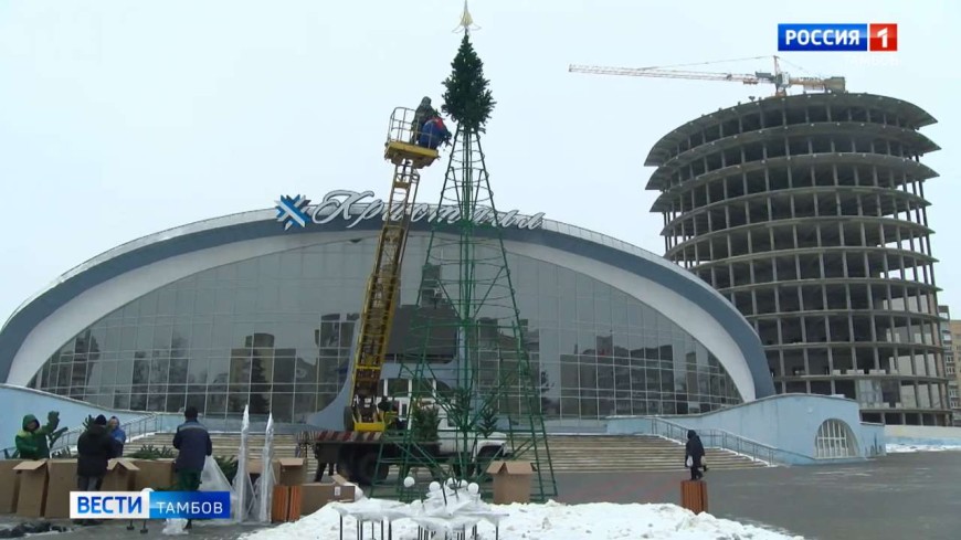 У тамбовского «Кристалла» установили елку