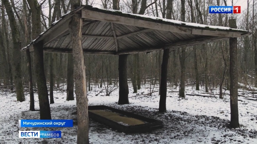 «Любишь охотиться - люби и зверей кормить»: как охотоведы помогают диким животным