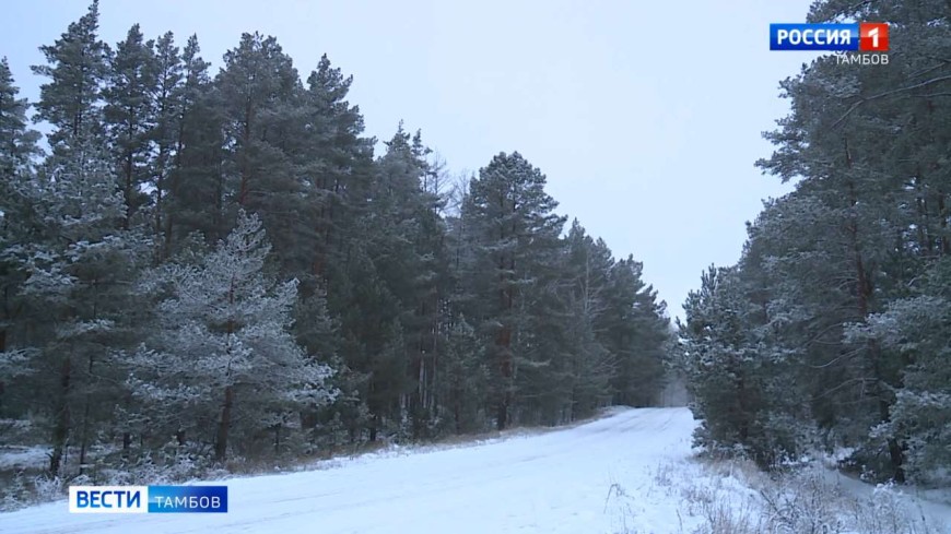 На страже зелёных богатств региона