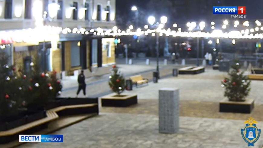 Новогодние вандалы разорили ёлку на Коммунальной