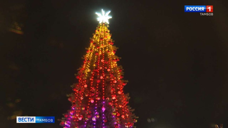 В Тамбове зажгли главную елку города