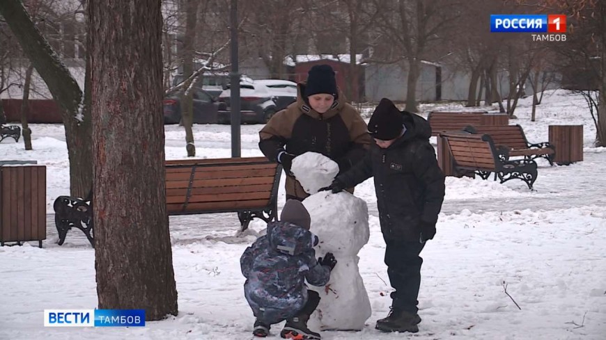 Синоптики рассказали про погоду в новогоднюю ночь в Тамбове