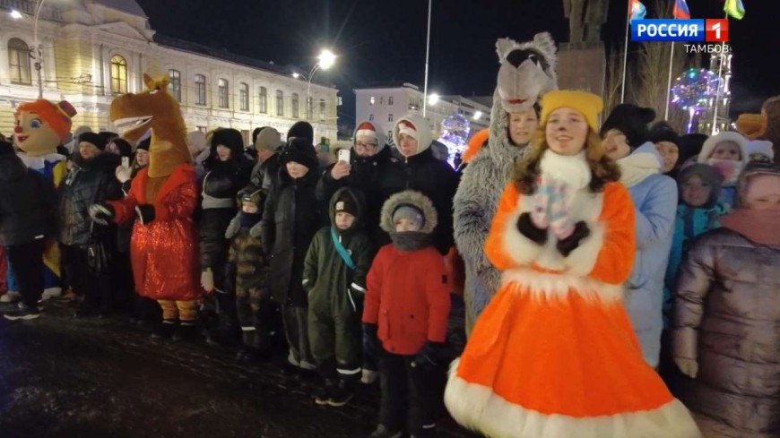 Идеальную новогоднюю ночь прогнозируют тамбовские синоптики