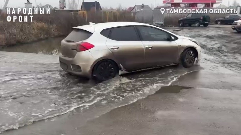 Утки обжили «канализационное озеро» во дворе новых домов в Тамбовском округе