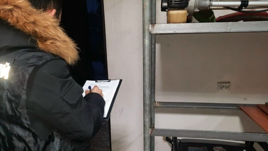 В селе Мичуринского округа обнаружили тела тамбовчан без признаков насильственной смерти