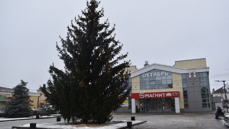 Жительница Моршанска подарила городу 15-метровую новогоднюю ёлку