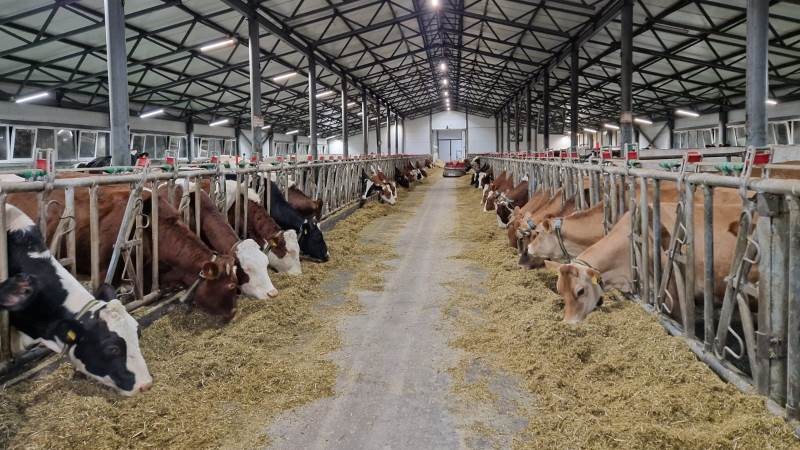 В Тамбовской области завершена заготовка кормов на предстоящую зиму