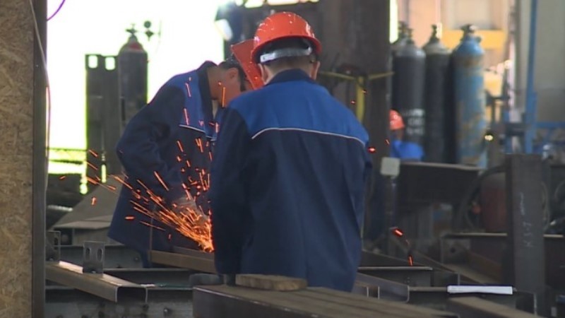 Инженеры, сварщики и учителя: в Тамбовской области подвели итоги года на рынке труда