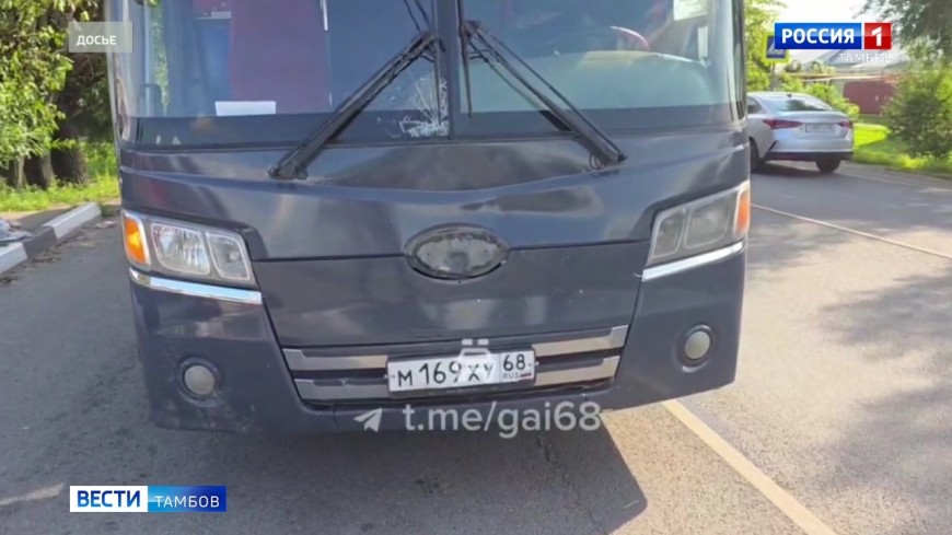 Дело водителя, сбившего девочку на «зебре» в Донском, направлено в суд