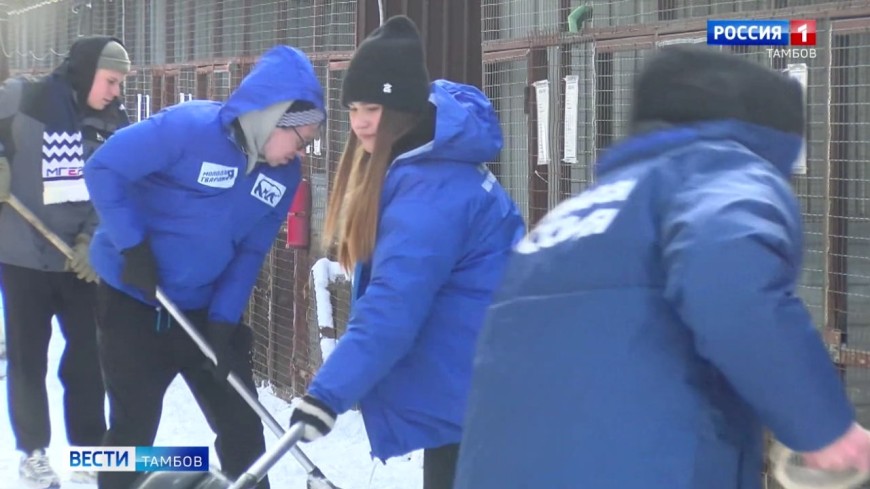 Активисты городского отделения «Молодой Гвардии Единой России» помогают расчищать снег нуждающимся