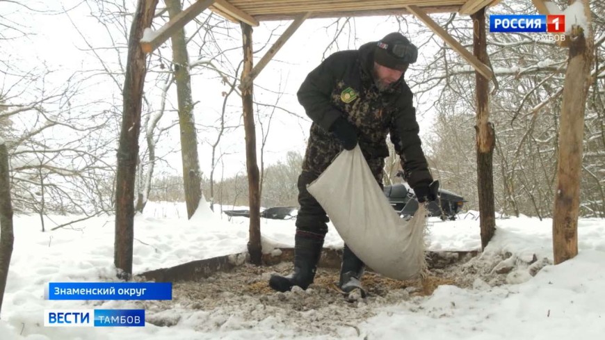 В любых условиях - с заботой о диких животных
