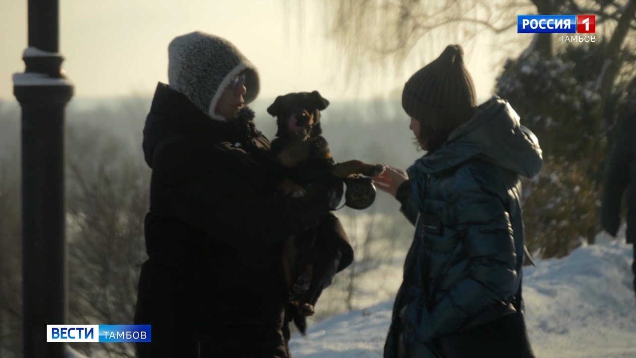 Зимовье домашних зверей: как переносят морозы братья наши меньшие