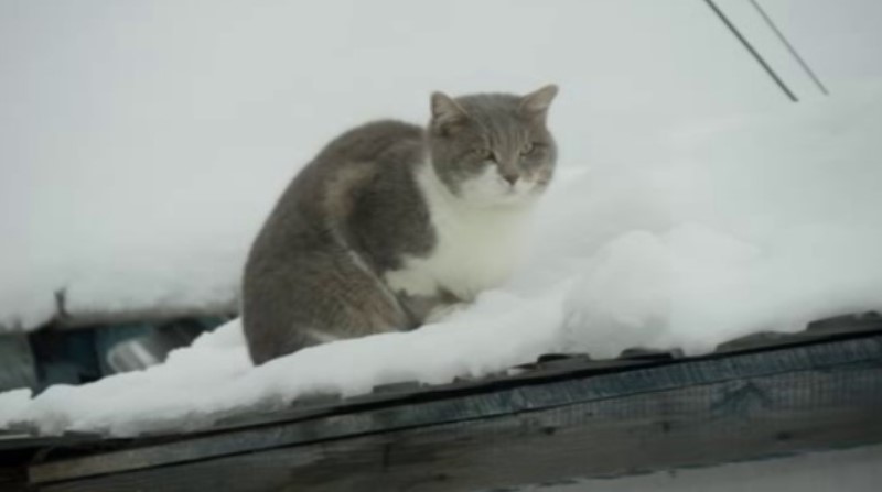 Пожар может начаться с маленькой искры: сотрудники МЧС обходят дома в Тамбовском округе Пожар может начаться с маленькой искры: сотрудники МЧС обходят дома в Тамбовском округе