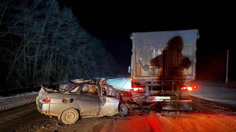 Полицейские новости: на трассе – эфир 27 января 2026 года