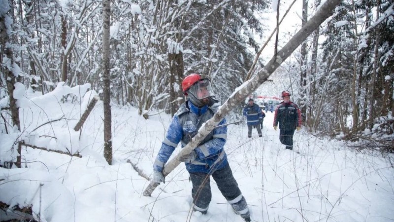 Энергетики восстановили электроснабжение после ледяного дождя в Тамбовской области
