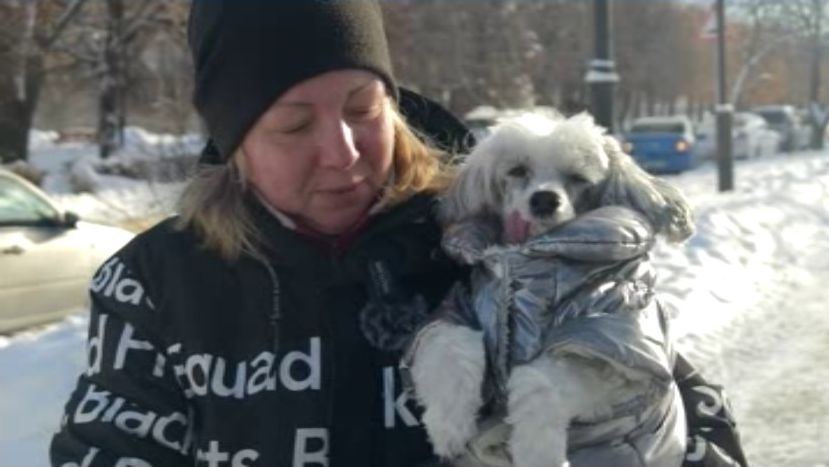 Зимовье домашних зверей: как переносят морозы братья наши меньшие