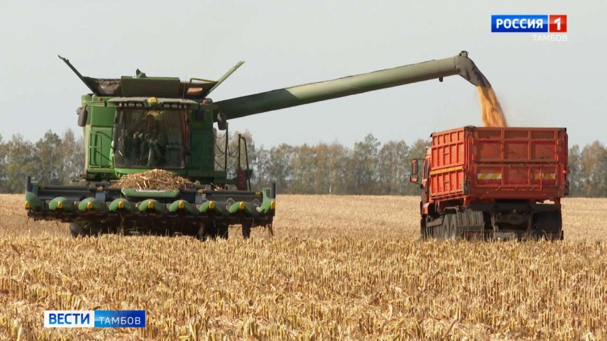 Новости коротко: итоги уборочной, олимпиада по математике и подсветка на телебашне