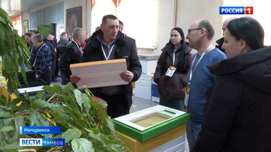 Пчеловодство без границ: что обсуждали на форуме в Мичуринске
