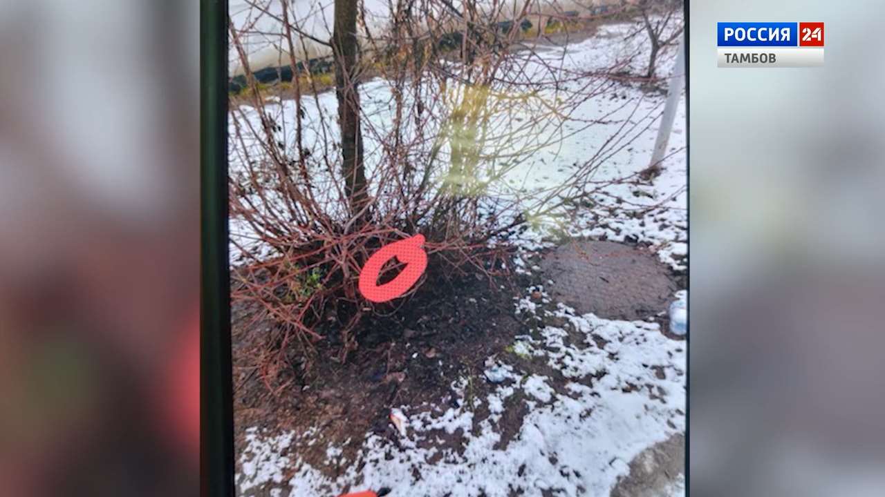 Жительницу Кирсанова ждёт суд за килограмм «синтетики»