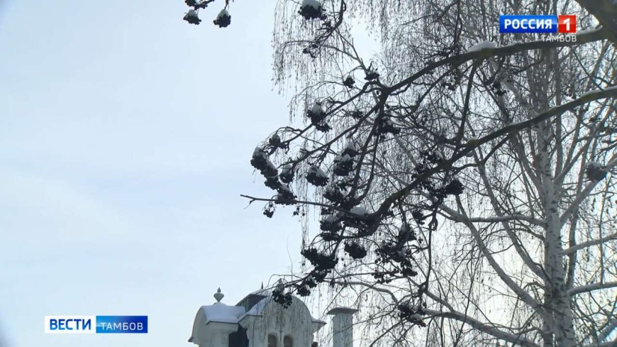 В регионе прогнозируют снег с дождем