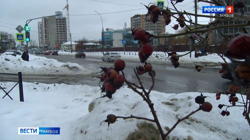 Погода готовит новые испытания тамбовчанам на этой неделе