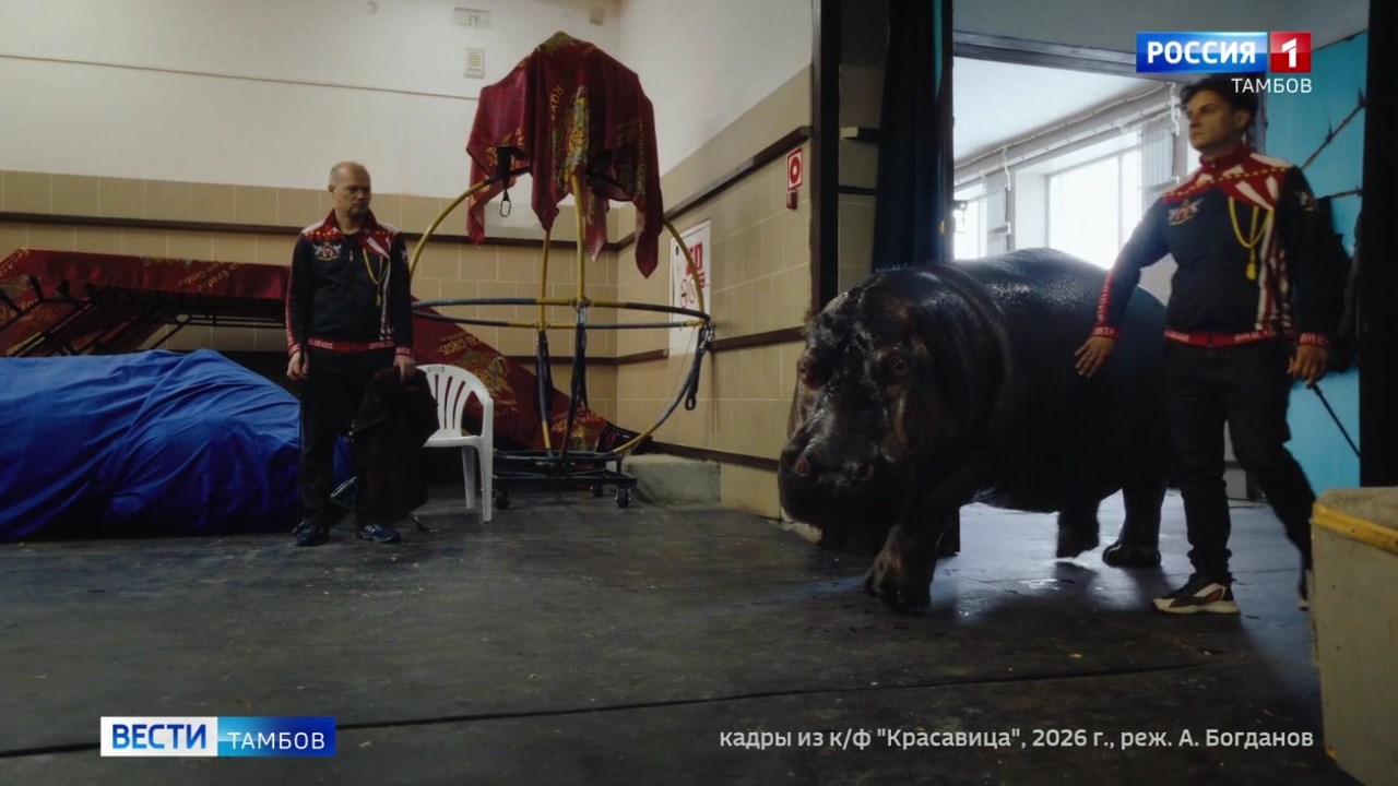 «Красавица» — символ стойкости: кино о подвиге в блокаду