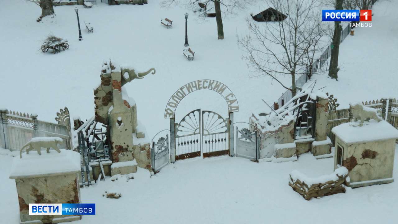 «Красавица» из блокадного Ленинграда: история, ожившая на экране