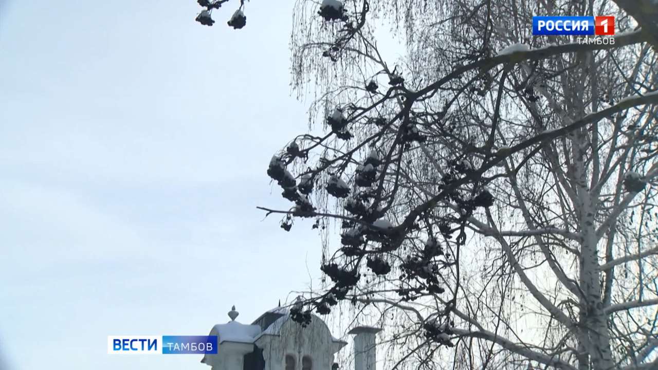 В Тамбове приступают к созданию новой тактильной книги для незрячих и слабовидящих людей