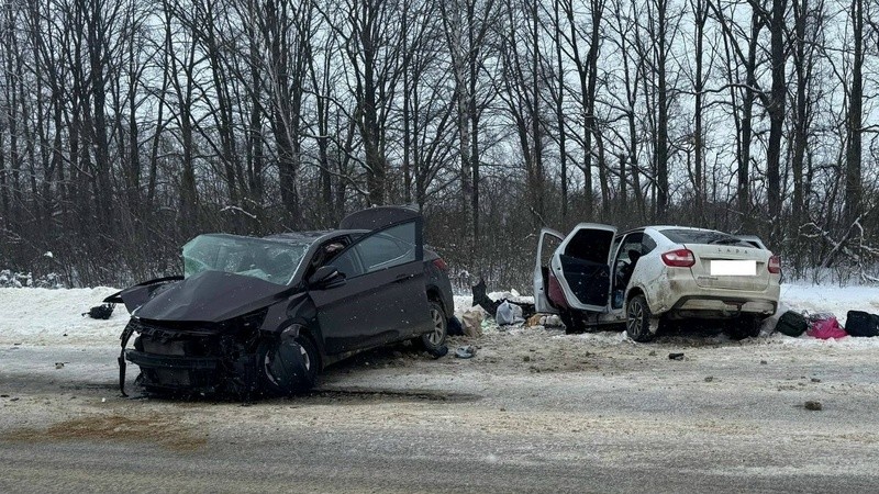 Полицейские новости: на трассе – эфир 10 февраля 2026 года