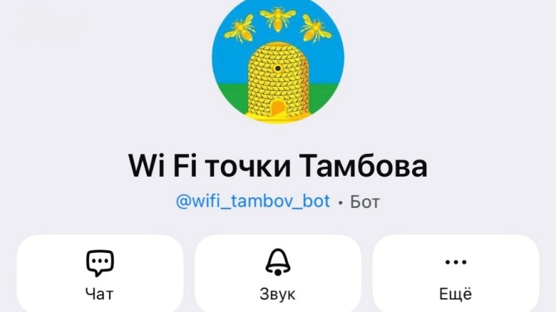 В Тамбовской области запустили чат-бот для поиска бесплатного Wi-Fi