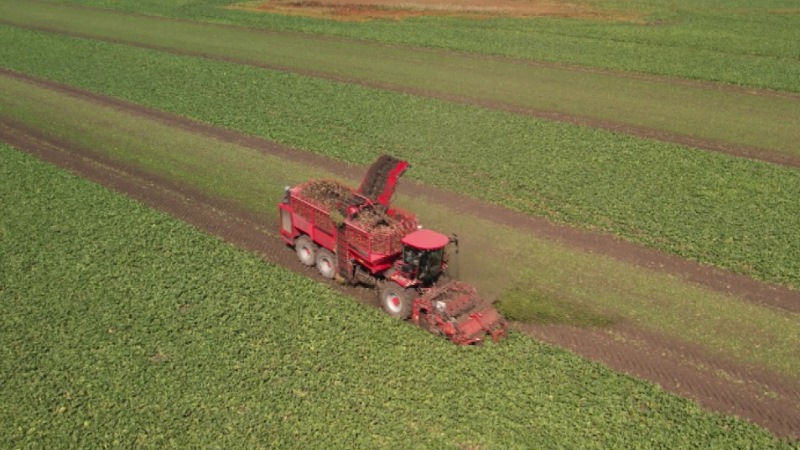 Экспорт продукции АПК Тамбовской области в 2025 году увеличился на 30%