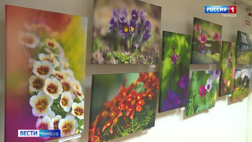 «Симфония цвета»: неувядающий букет от Сергея Рудакова