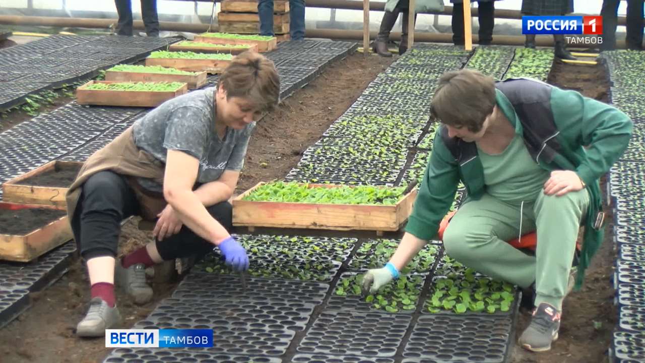 В Тамбове продолжают подготовку к весеннему сезону В Тамбове продолжают подготовку к весеннему сезону