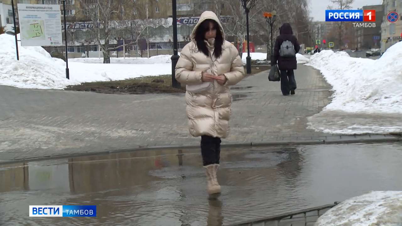 На 8 Марта синоптики обещают тамбовчанам ветреную и тёплую погоду