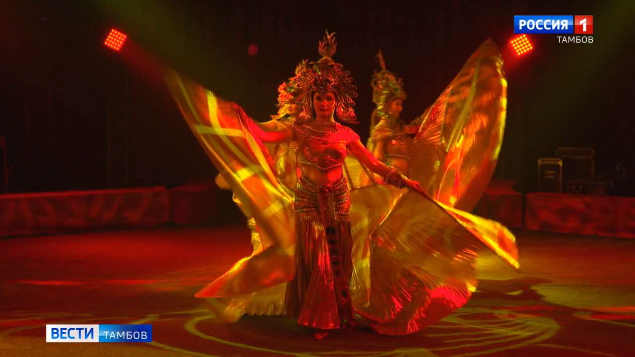 Первая половина гастролей цирка «Крокус» с шоу «Королевство львов» прошла с аншлагом