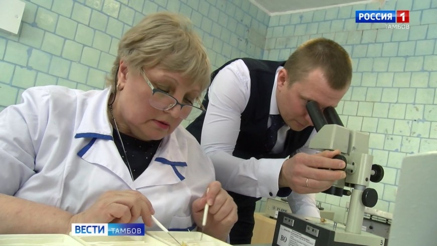 Оценка посевных качеств - залог хорошего урожая