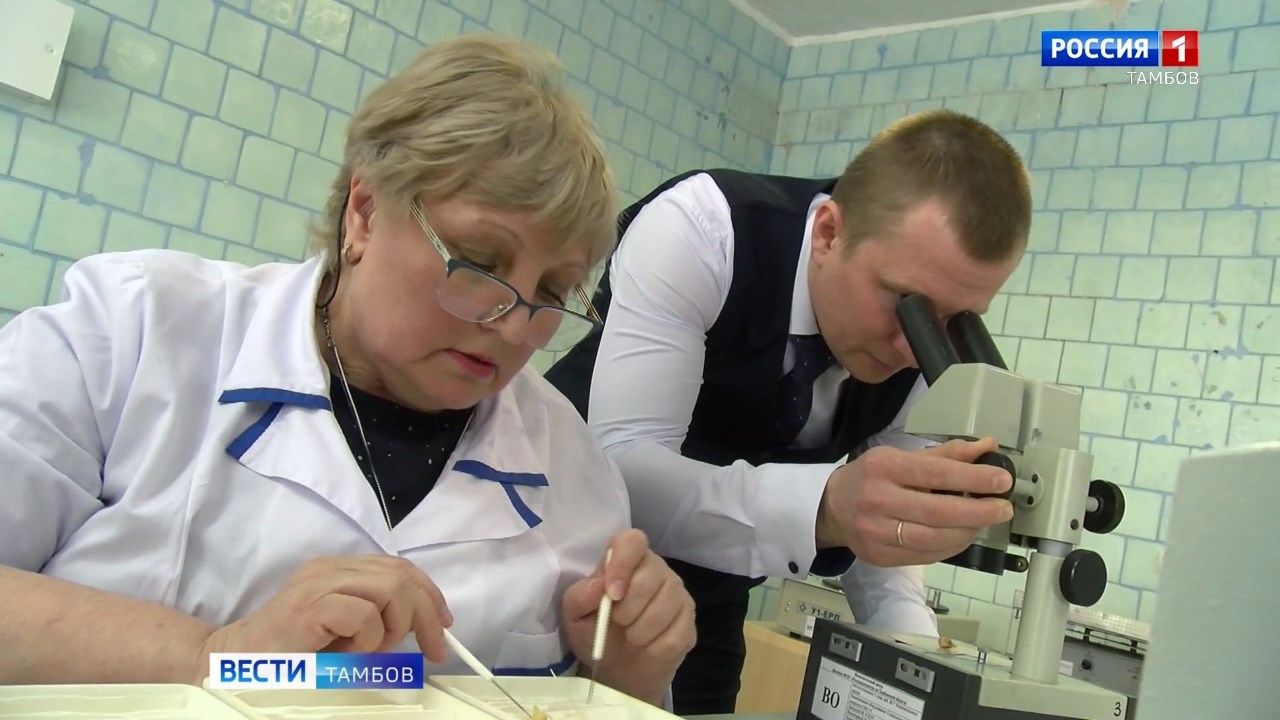 Оценка посевных качеств - залог хорошего урожая