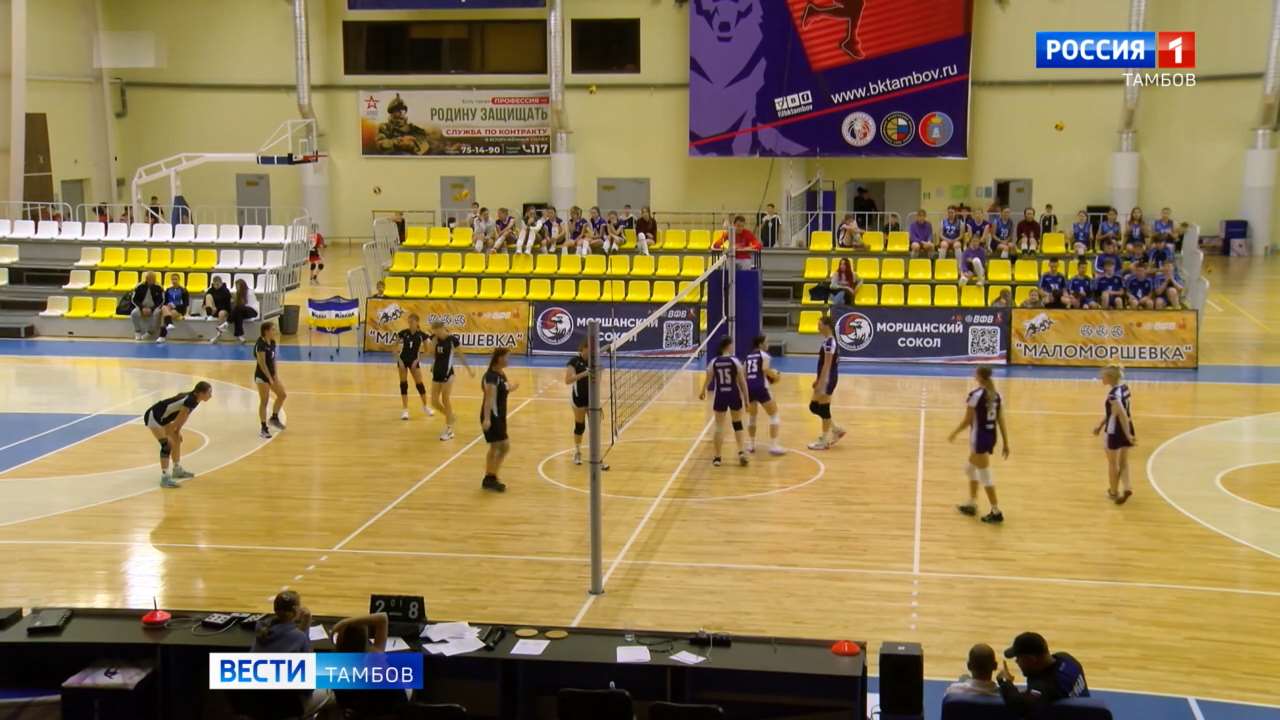 Сегодня: чипирование питомцев, горячая линия Росреестра и спортивные события в СТЦ «Тамбов»