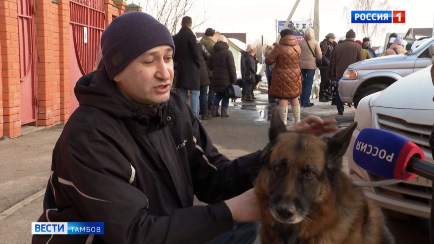 В Тамбове стартовал весенний период выездной вакцинации и чипирования домашних животных