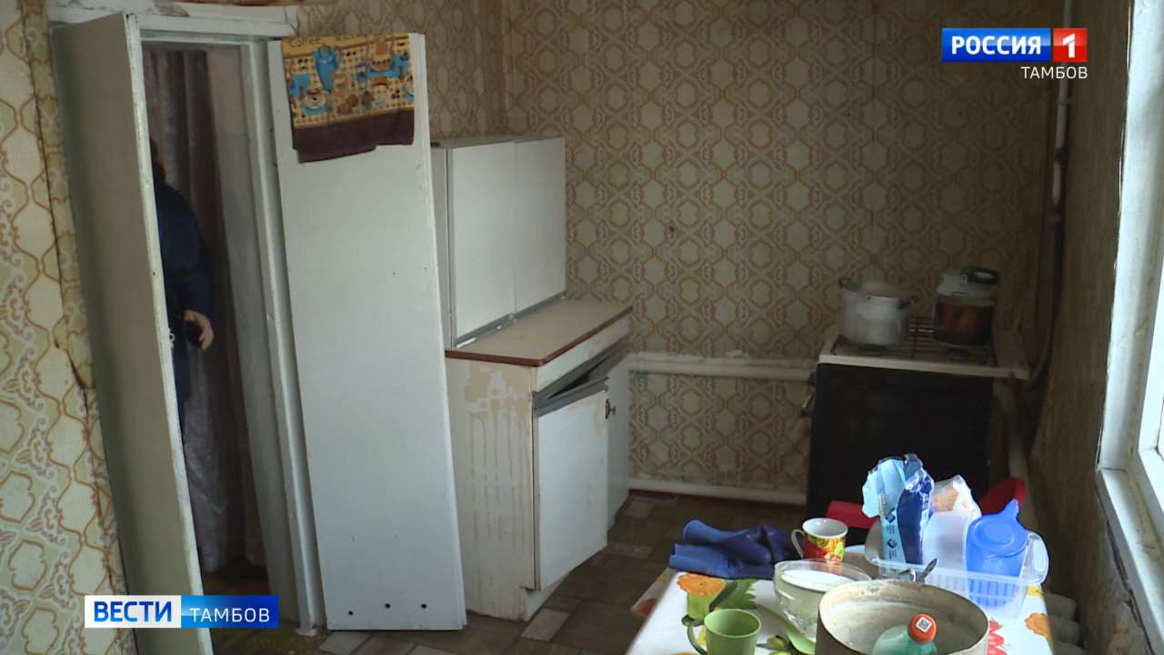 Тихая угроза: почему грызуны - серьёзная проблема для дачников