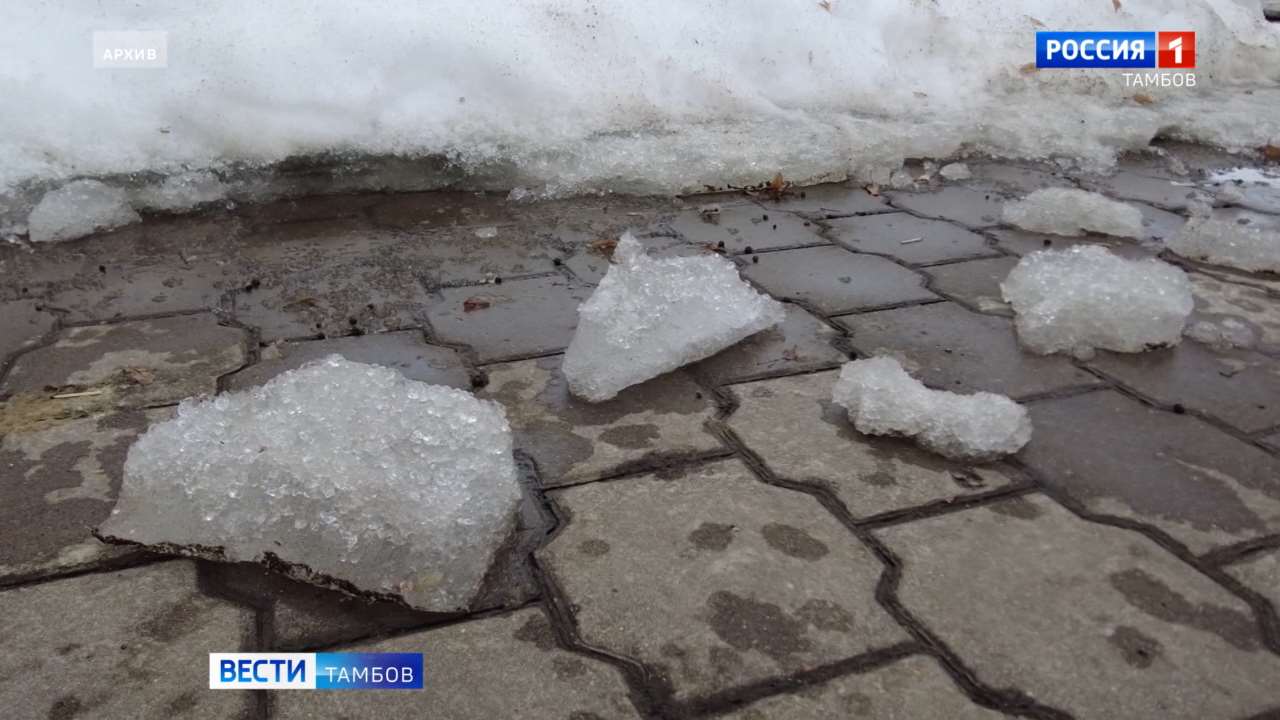 Сегодня: заседание в областном правительстве, горячая линия Росреестра и советы медиков