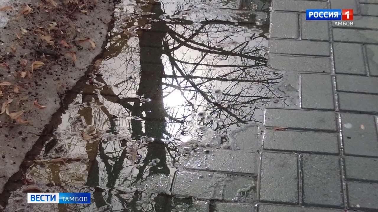 В регион пришла метеорологическая весна В регион пришла метеорологическая весна