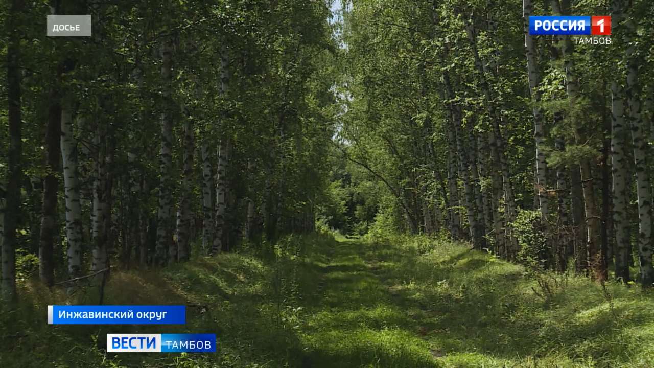 Заповедник «Воронинский» готовится к открытию туристического сезона Заповедник «Воронинский» готовится к открытию туристического сезона