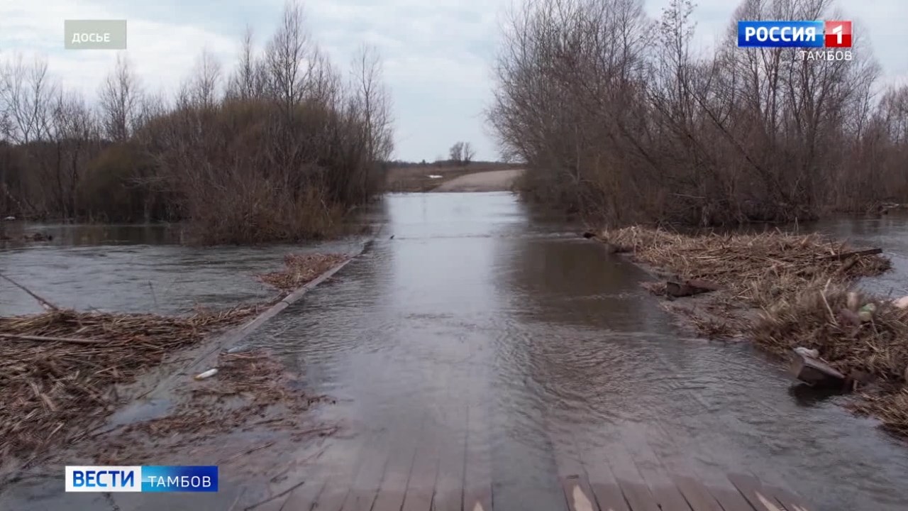 Пик половодья в Мичуринском округе ожидается в начале апреля Пик половодья в Мичуринском округе ожидается в начале апреля