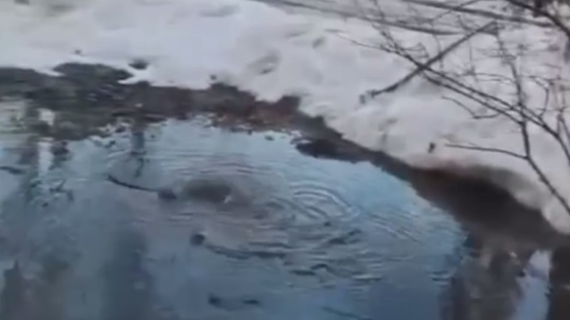 Жители Котовска второй месяц задыхаются от вони из-за неисправной канализации