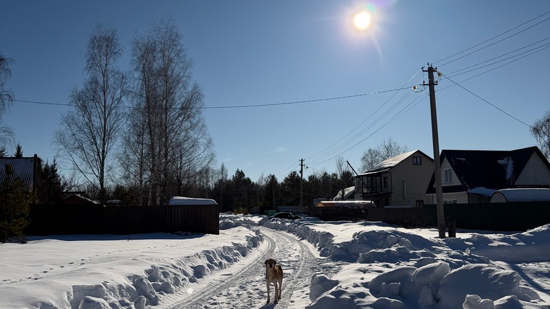 Дачная беседка – эфир 12 марта 2026 года