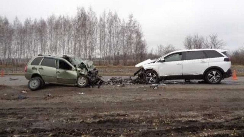 Жителя Петровского округа признали виновным в смертельном ДТП